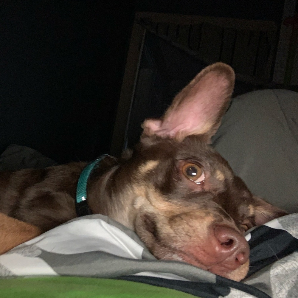 Meet your Posher, Miguel